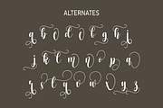Arlian | Script Font, a Script Font by Scratchones (Thumbnail 7 of 8)