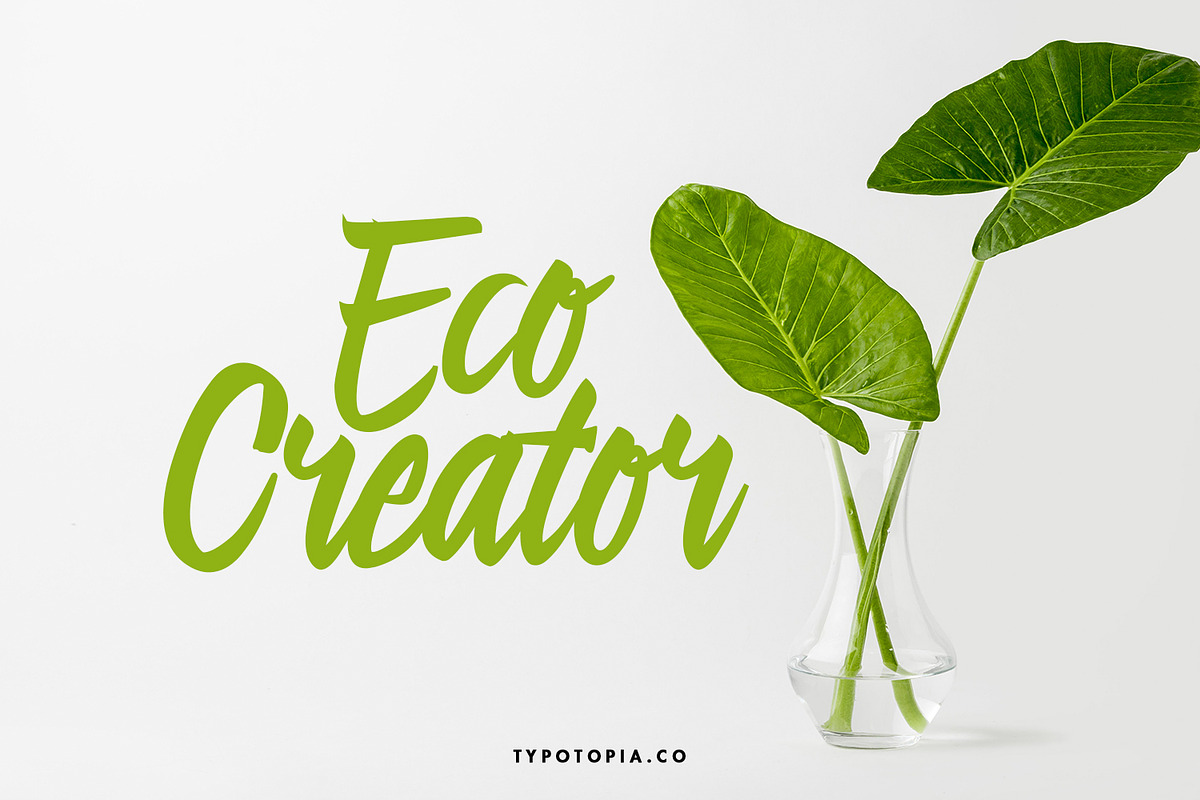 Linimasa - Modern Script Font, a Script Font by edukka (Photo 2 of 11)