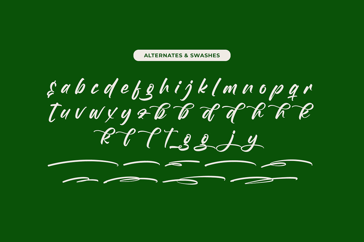 Birthday Shottera Bold Handwritten, a Script Font by Letterena Studios Script (Photo 11 of 20)