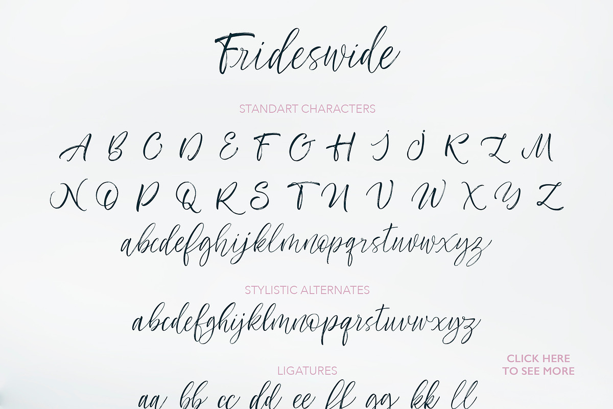 Frideswide Script preview 4