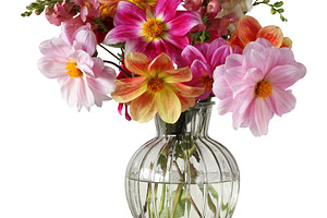 dahlias and snapdragons, isolate