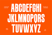 Micten, a Sans Serif Font by Flawless And Co (Thumbnail 6 of 10)