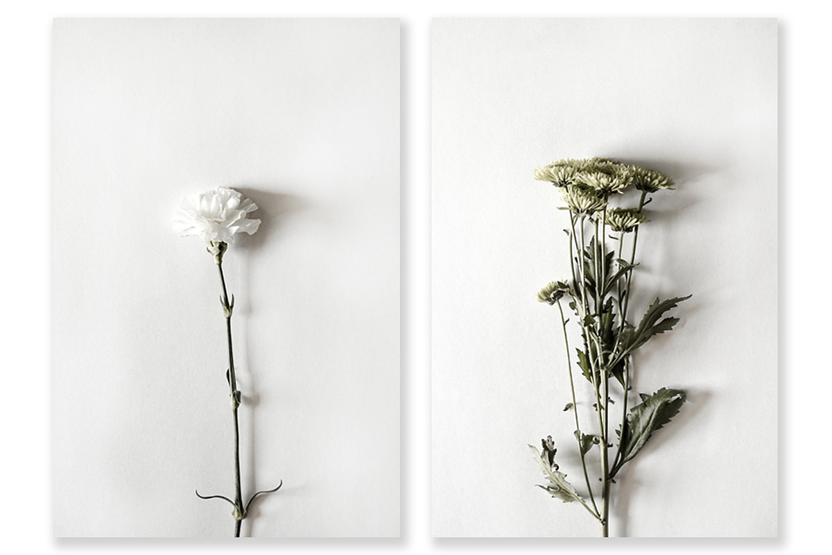 Floral Photography Bundle, a Nature Photo by Creative Moxie Studio (Photo 6 of 7)