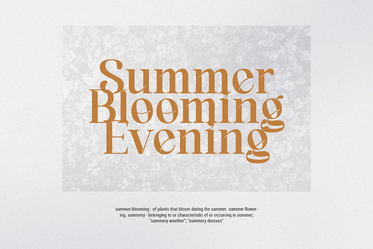 Moreland, a Serif Font by Imoodev (Photo 4 of 5)