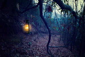 Vintage lantern at the dark forest