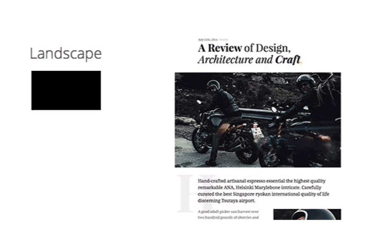 HIVE - A Magazine-Style Theme, a WordPress Template by Pixelgrade (Photo 2 of 4)
