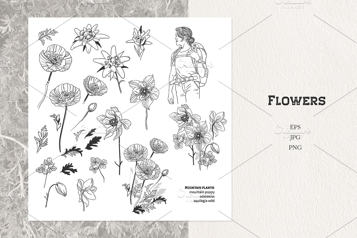 Highlands. Vector illustrations, an Illustration by Nadia Murash (Photo 3 of 6)