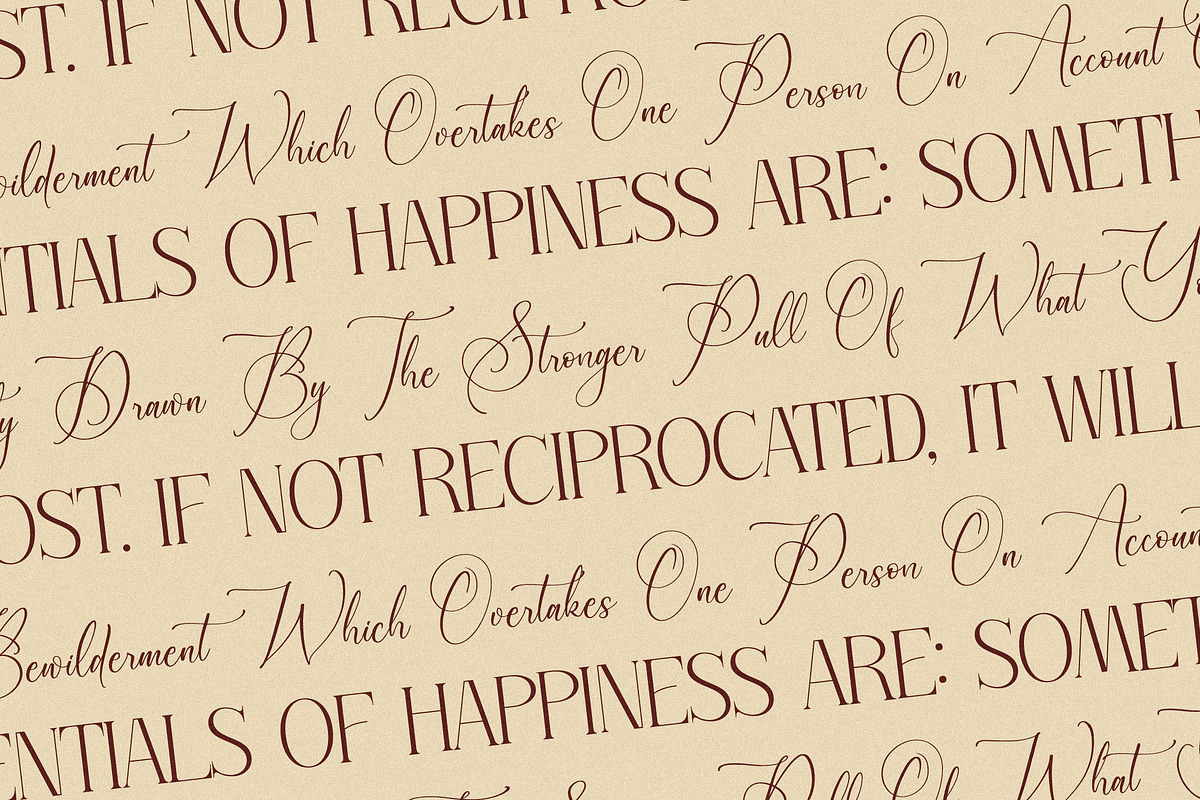 Serandipity Boutique Font Duo, a Serif Font by Storytype Studio (Photo 10 of 15)