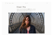 Eisai Pro - Gutenberg ready theme, a WordPress Template by Webminimalism (Thumbnail 2 of 3)