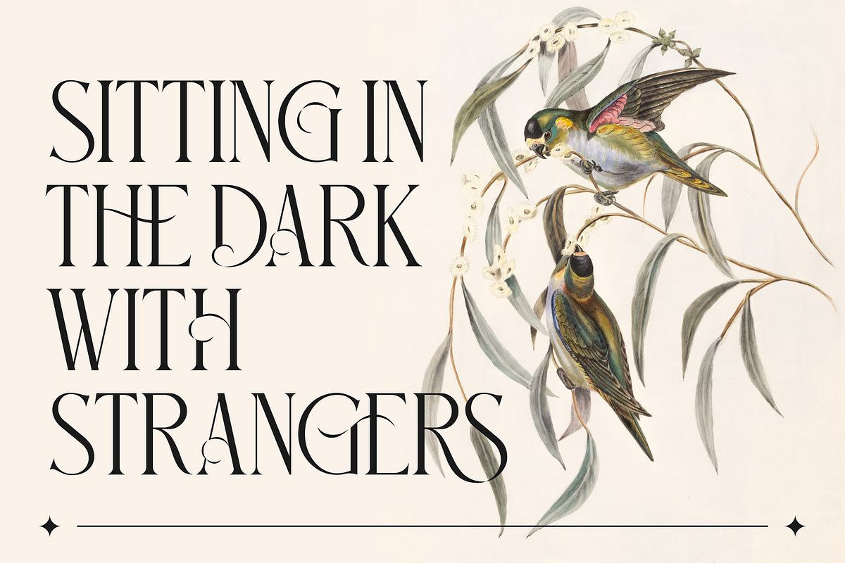Glorious Serif Display Font, a Sans Serif Font by Storytype Studio (Photo 3 of 15)