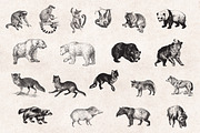 Wild Animals Engravings, an Object Graphic by Graphic Goods (Thumbnail 6 of 9)