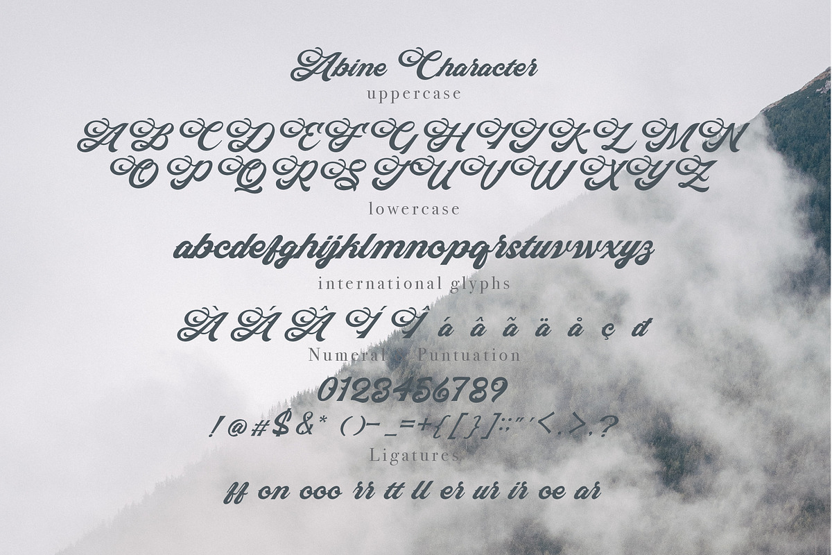 Abine - Display Script, a Script Font by Olexstudio (Photo 5 of 7)