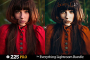 225 Lightroom Presets Bundle, an Action Add-On by Presetrain Co. (Thumbnail 4 of 13)
