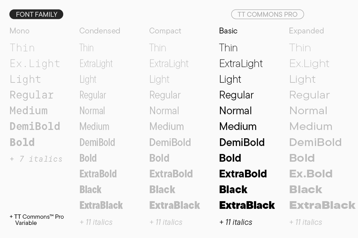 TT Commons Pro Basic, a Sans Serif Font by TypeType (Photo 4 of 15)