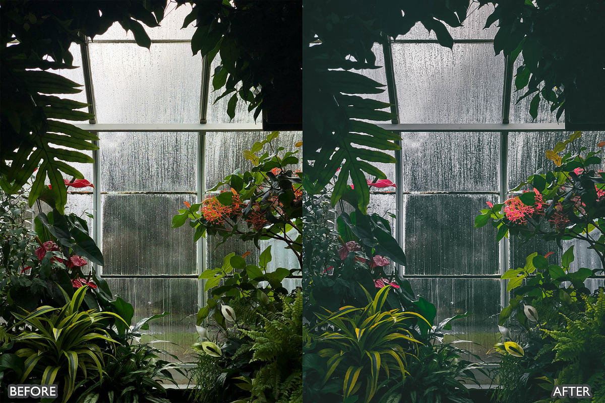Moody Dark Green Lightroom Presets, a Preset Add-On by AAA Presets (Photo 8 of 19)