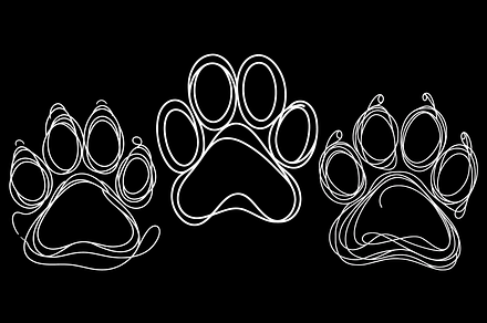 Dog Cat Paws Line Art