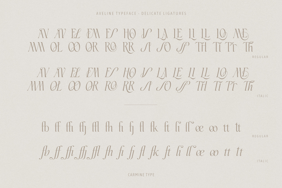 Aveline, Soft Serif with Ligatures, a Serif Font by CarmineType (Photo 17 of 28)