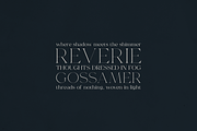 Norelli – A Modern Serif Typeface, a Serif Font by Only Fonts (Thumbnail 3 of 11)