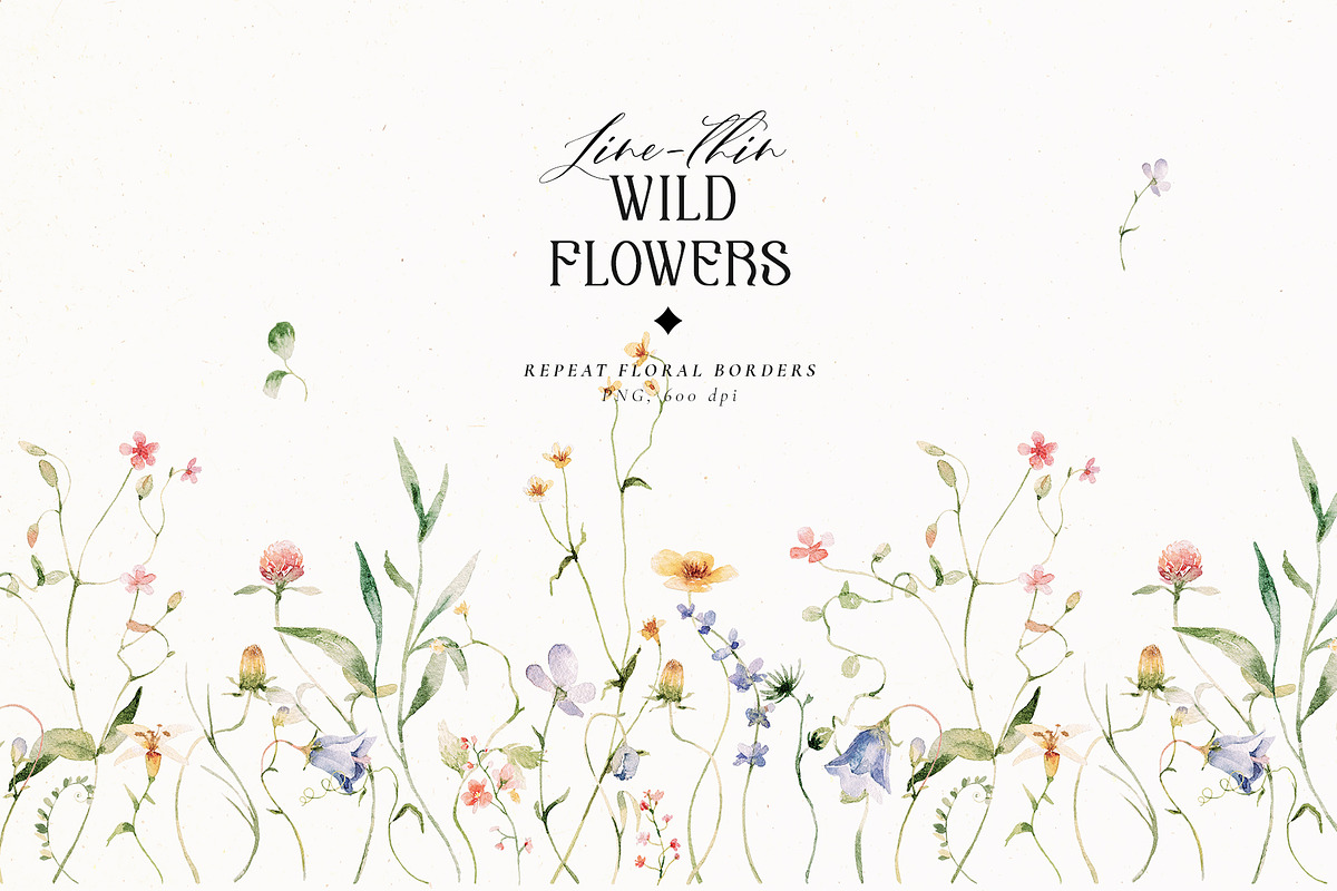 Line-thin watercolor wildflowers, a Decorative Illustration by Pamyatka Shop (Photo 6 of 16)
