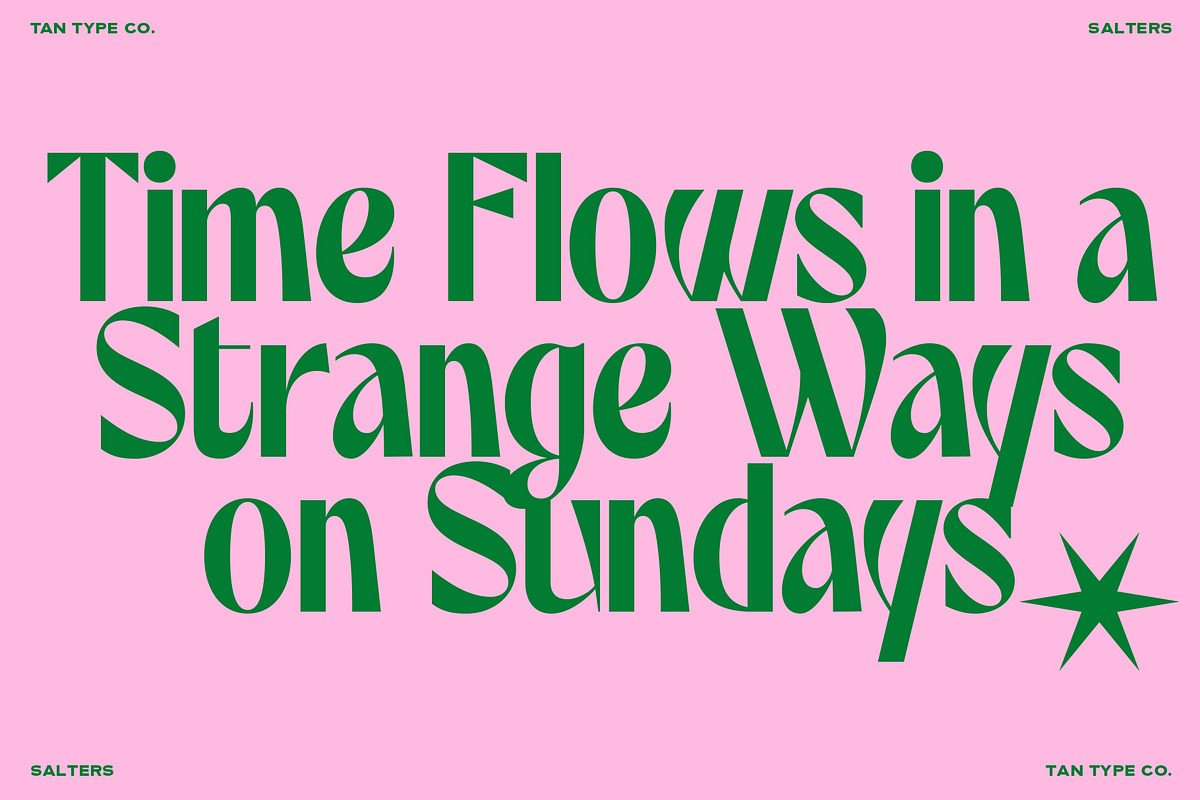 TAN - SALTERS, a Font by TanType (Photo 5 of 14)