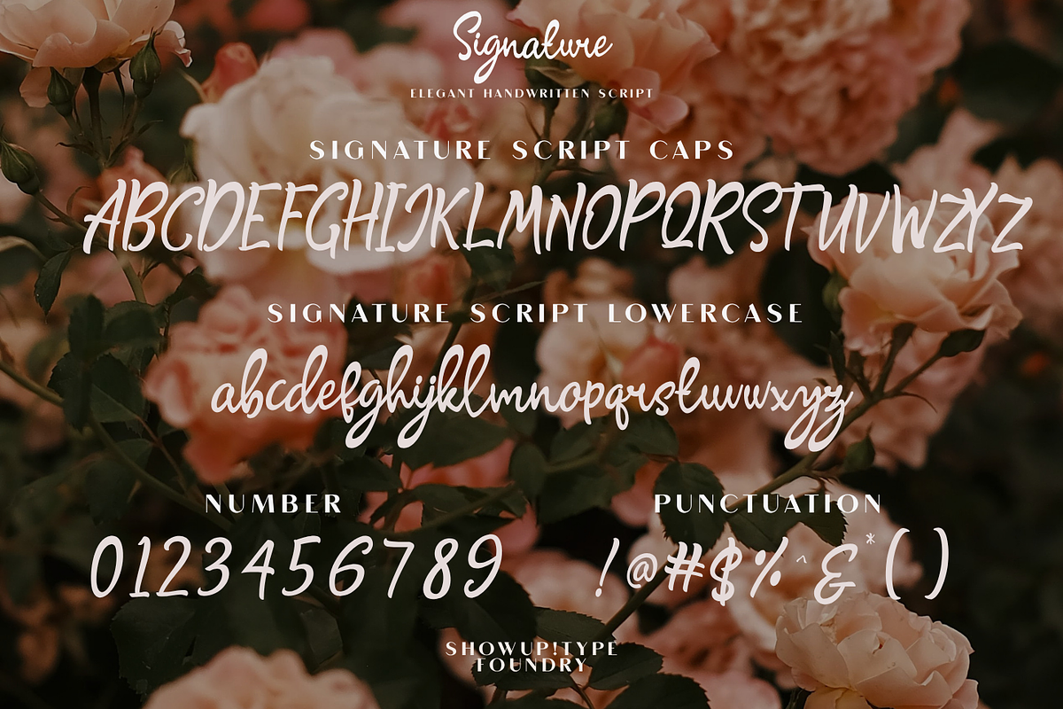 Signature Script, a Script Font by ShowUp! Studio (Photo 7 of 7)