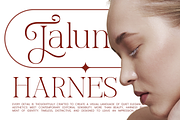 Miregle Modern Elegant Serif Font, a Serif Font by Rasio Studio (Thumbnail 6 of 11)