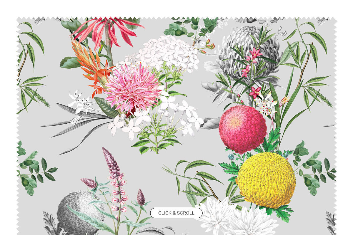 Verano, Summer Patterns & Motifs, a Pattern Graphic by Pink Linen (Photo 8 of 9)