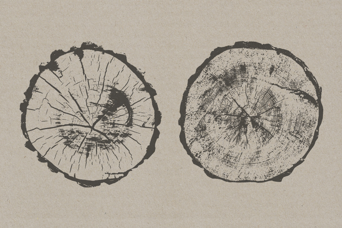 Tree Stump Textures - Vector & PNG, a Texture Graphic by Offset