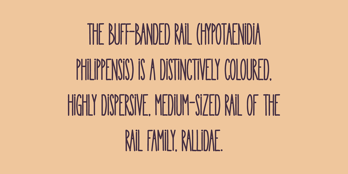 Wunderb, a Handwritten Font by BerryType (Photo 7 of 8)