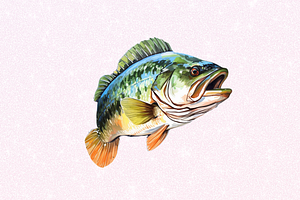 Bass Fishing Watercolor Art Clipart