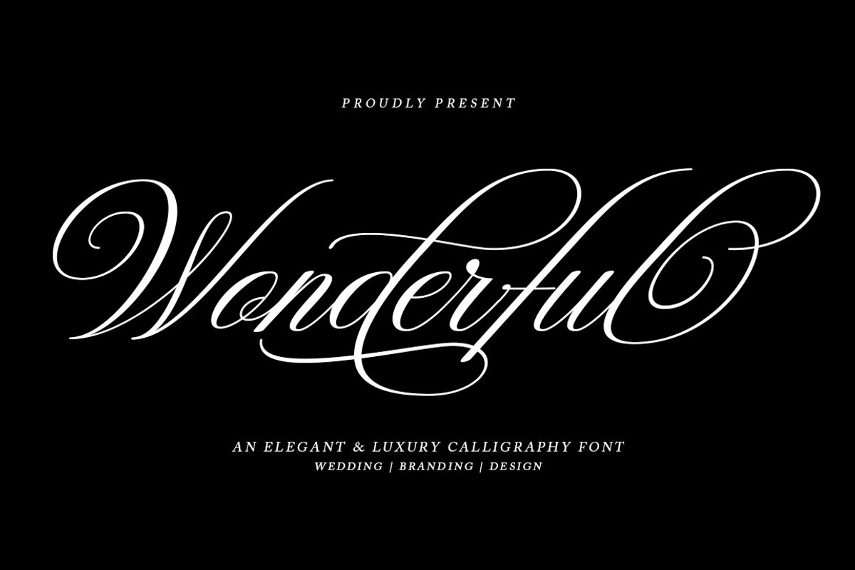 Wonderful Script, a Script Font by Has_rizal (Photo 10 of 10)