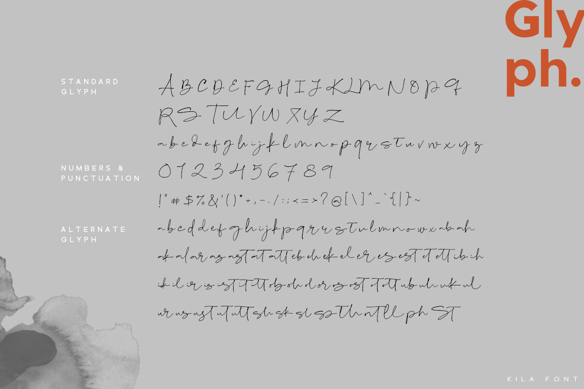 Kila Script, a Script Font by vuuuds (Photo 8 of 8)