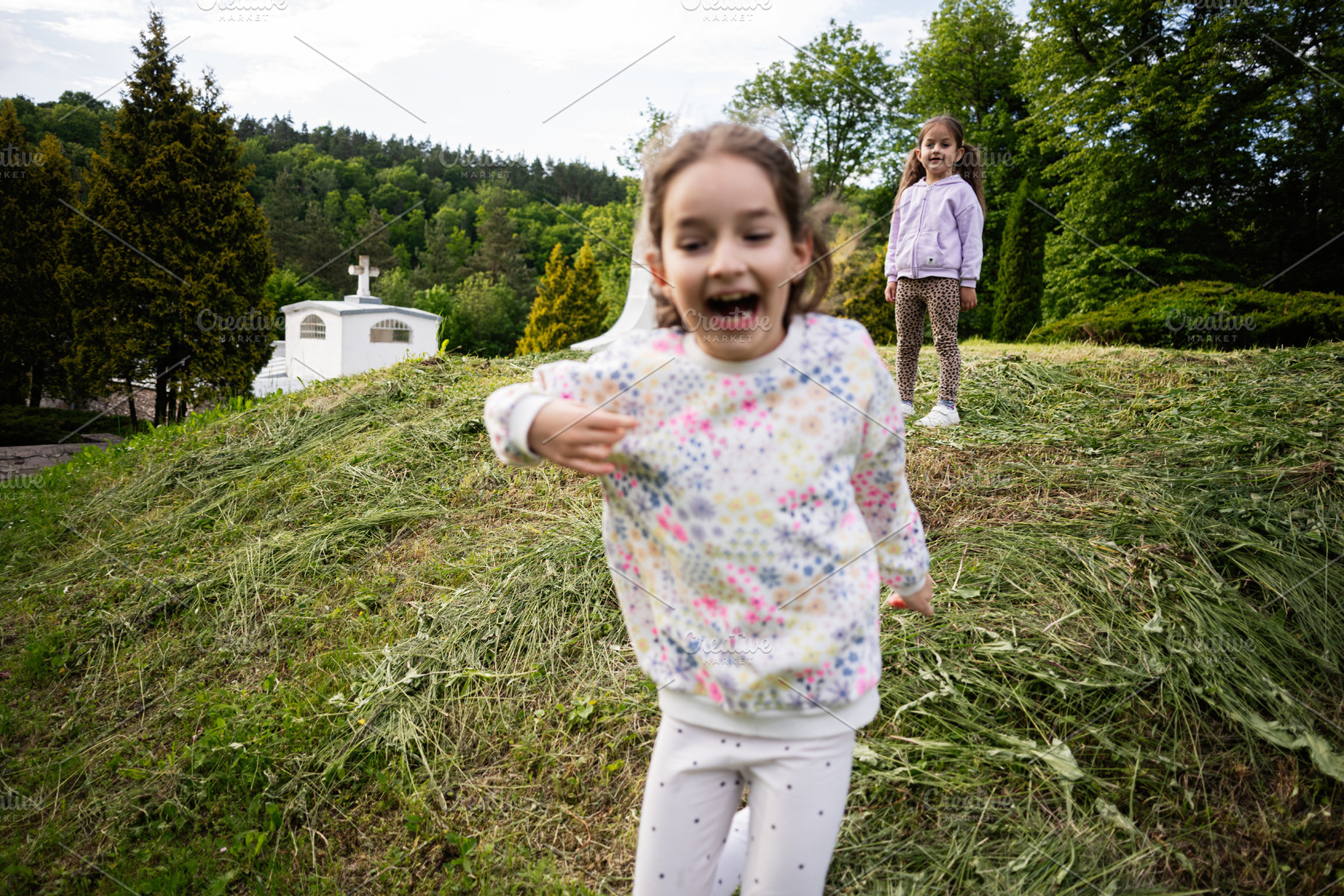 Joyful children playing in a grassy field on a sunny day, a Person Photo by AS photostudio