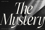 The Elfkin Editorial - Modern Serif, a Serif Font by SilverStag Type Foundry (Thumbnail 11 of 20)