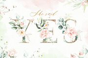 Watercolor Blush Floral Alphabet Set, a Decorative Illustration by Veris Studio (Thumbnail 9 of 24)