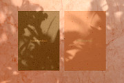 Madara - Botanical Shadow Overlays, a Texture Graphic by Studio Yorktown (Thumbnail 9 of 17)