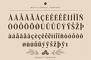 Roast Ledger - Modern Serif Font, a Serif Font by overlaytemplates (Thumbnail 5 of 5)