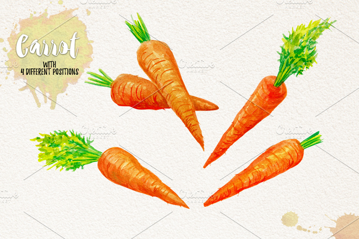 Watercolor Vegetables, Herbs, an Animal Illustration by Graphobia (Photo 4 of 12)