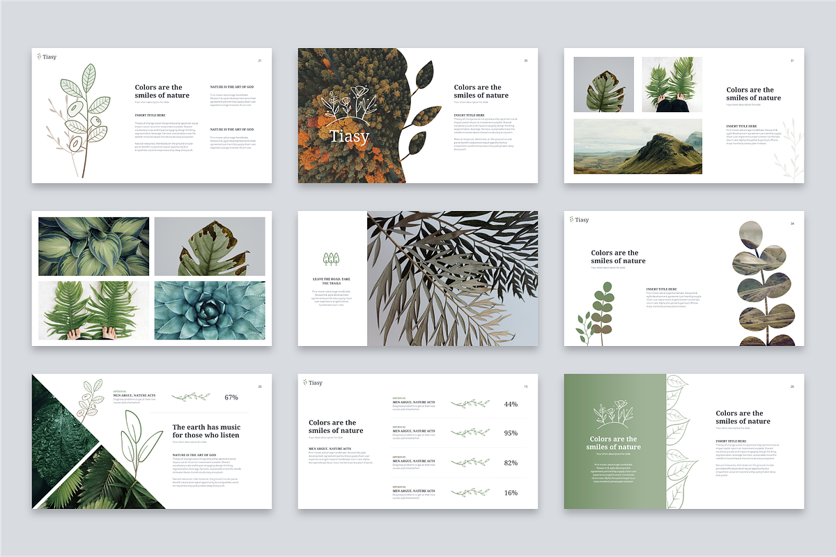 Tiasy Powerpoint Template, a Presentation Template by Reshapely (Photo 6 of 7)