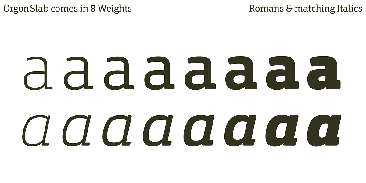 Orgon Slab, a Slab Serif Font by Hoftype (Photo 27 of 30)