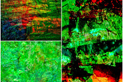 Joy green abstract,Recycled delight, an Abstract Photo by Manis recycle abstract (Thumbnail 2 of 3)