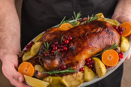 Baked christmas duck or goose, a Food & Drink Photo by La_Vanda