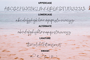 Montok, a Script Font by WisnoetypeCo (Thumbnail 4 of 5)