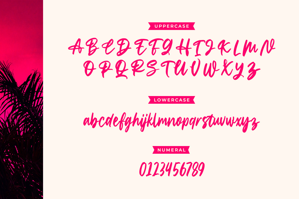 Home To Rome - Casual Brush Script, a Script Font by Typefactoryco (Photo 2 of 8)