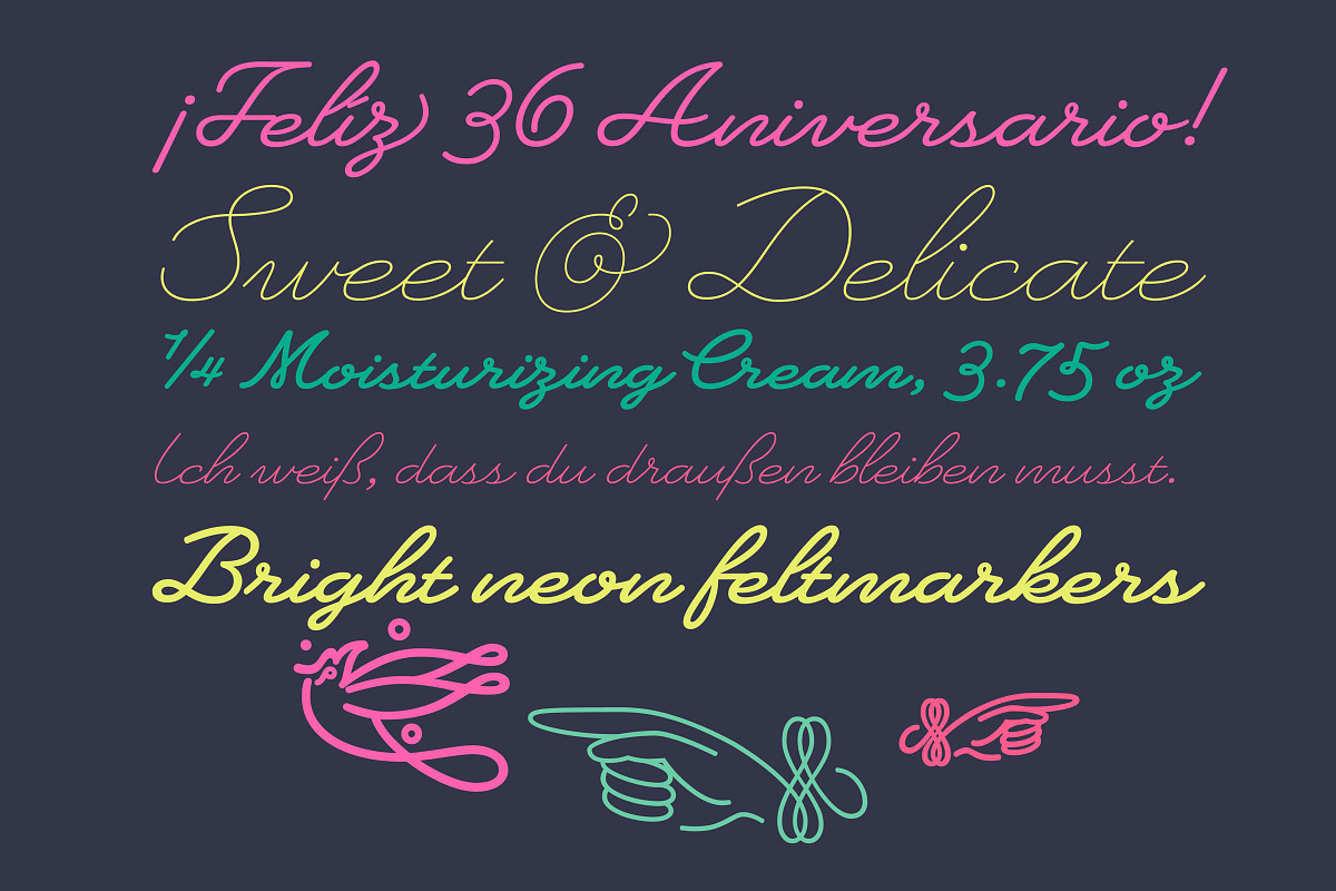 Heartline Script, a Script Font by Sudtipos (Photo 7 of 8)