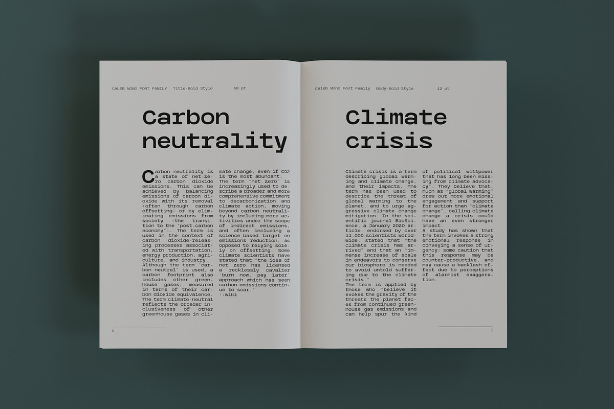 Caleb Mono Font Family, a Sans Serif Font by Ryul Davidson (Photo 16 of 19)