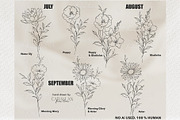 Birth Flowers Outline Stamps, a Brush Add-On by CaraulanStore (Thumbnail 6 of 9)