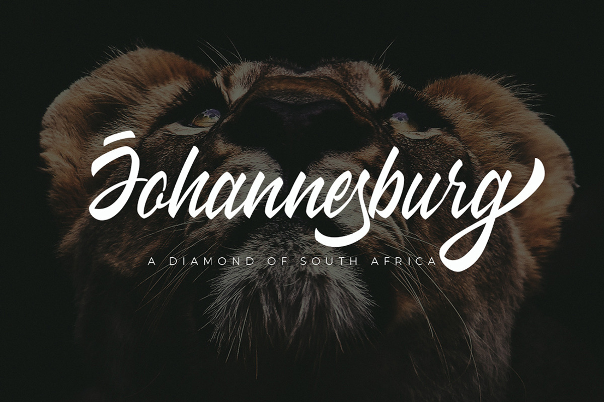 Wakanda Script Business Font preview 4