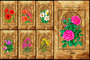 Enchanted flowers tarot deck, a Decorative Illustration by Samiramay (Thumbnail 2 of 12)