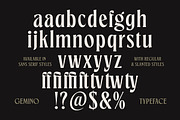 TNSC Gemino - Sans & Serif Typeface, a Serif Font by The Native Saint Club (Thumbnail 14 of 14)